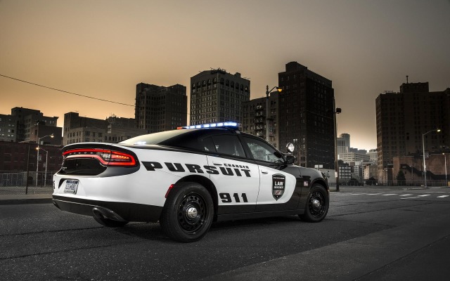 Dodge Charger Pursuit 2015. Desktop wallpaper