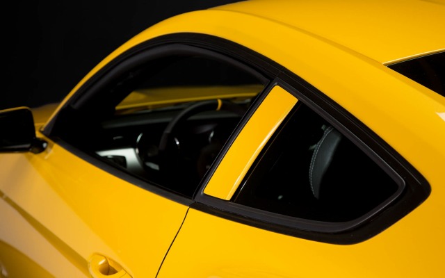 Saleen S302 Black Label 2015. Desktop wallpaper