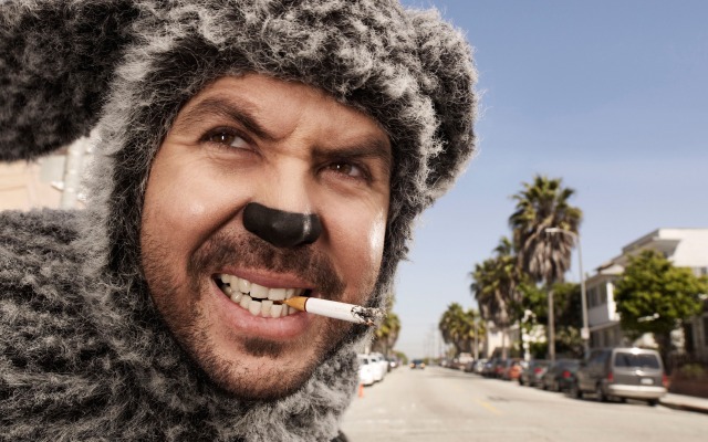 Wilfred. Desktop wallpaper