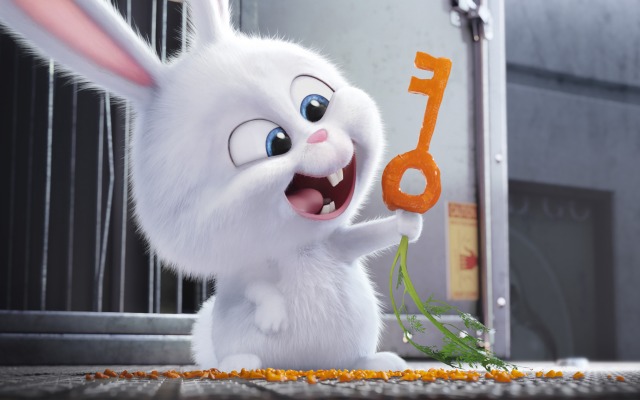 Secret Life of Pets, The. Desktop wallpaper