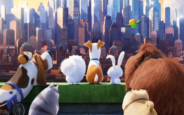 Secret Life of Pets, The. Desktop wallpaper