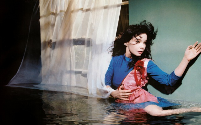 Bjork. Desktop wallpaper