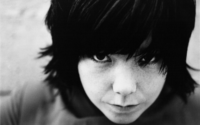 Bjork. Desktop wallpaper
