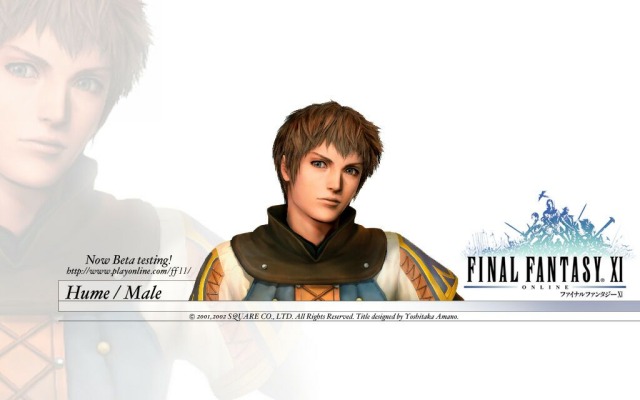Final Fantasy 11. Desktop wallpaper
