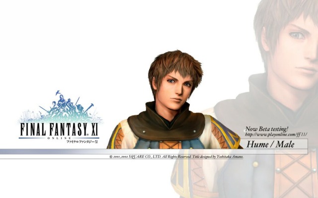 Final Fantasy 11. Desktop wallpaper