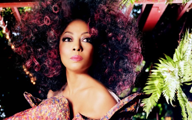 Diana Ross. Desktop wallpaper