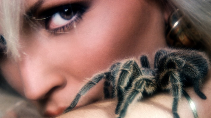 Janine Lindemulder. Desktop wallpaper