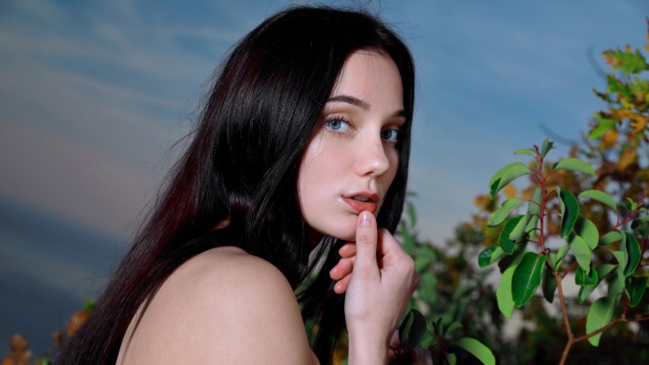 Polly Pure. Desktop wallpaper