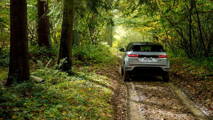 Land Rover Range Rover Evoque 2019. Desktop wallpaper