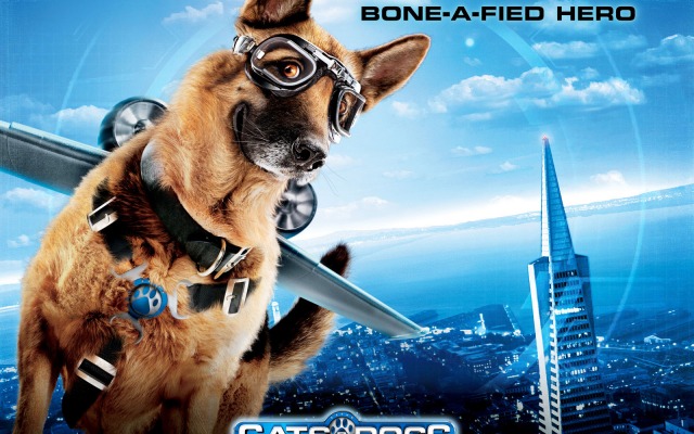Cats & Dogs: The Revenge of Kitty Galore. Desktop wallpaper