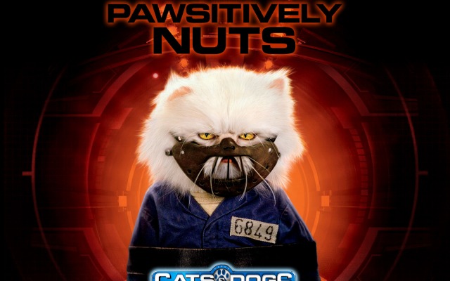 Cats & Dogs: The Revenge of Kitty Galore. Desktop wallpaper