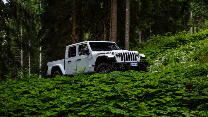 Jeep Gladiator Europe Version 2020. Desktop wallpaper