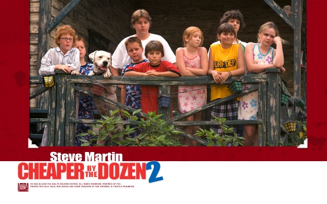 Cheaper by the Dozen 2. Desktop wallpaper
