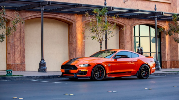 Ford Mustang Shelby Super Snake Bold Edition 2020. Desktop wallpaper