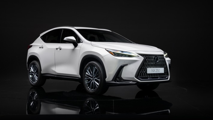 Lexus NX 250 2022. Desktop wallpaper
