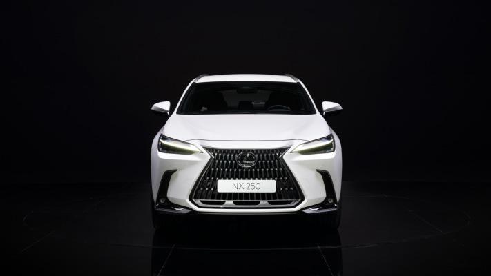 Lexus NX 250 2022. Desktop wallpaper