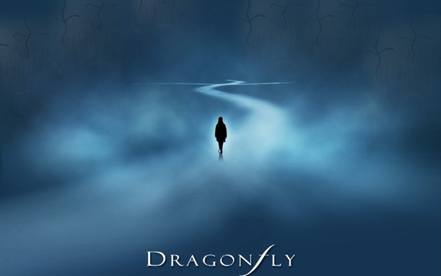 Dragonfly. Desktop wallpaper