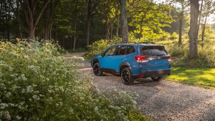 Subaru Forester Wilderness 2022. Desktop wallpaper