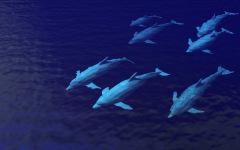 Desktop wallpaper. 3D & CGI. ID:97