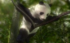 Desktop wallpaper. 3D & CGI. ID:175