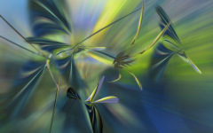Desktop wallpaper. 3D & CGI. ID:245