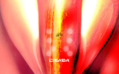 Desktop wallpaper. 3D & CGI. ID:255