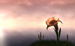 Desktop wallpaper. 3D & CGI. ID:271
