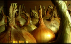 Desktop wallpaper. 3D & CGI. ID:273