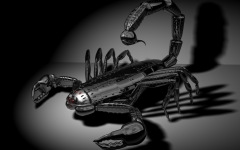 Desktop wallpaper. 3D & CGI. ID:305