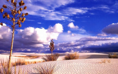 Desktop wallpaper. 3D & CGI. ID:311