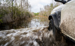 Desktop wallpaper. Ford Bronco Everglades Edition 2022. ID:146091