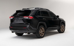 Desktop wallpaper. Toyota RAV4 Hybrid Woodland Edition 2023. ID:148460