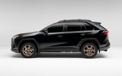 Desktop wallpaper. Toyota RAV4 Hybrid Woodland Edition 2023. ID:148461