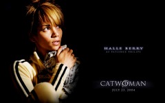 Desktop wallpaper. Catwoman. ID:14868