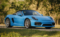 Desktop wallpaper. Porsche 718 Spyder 2016. ID:154060