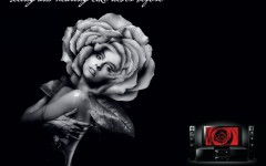 Desktop wallpaper. Pioneer