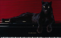 Desktop wallpaper. Yamaha