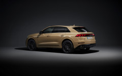 Desktop wallpaper. Audi Q8 TFSI 2024. ID:157001