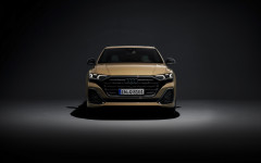 Desktop wallpaper. Audi Q8 TFSI 2024. ID:157005