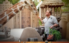 Desktop wallpaper. Zookeeper, The. ID:16747