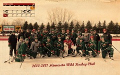 Desktop wallpaper. Hockey. ID:17554