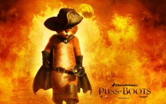 Desktop wallpaper. Puss in Boots. ID:19630