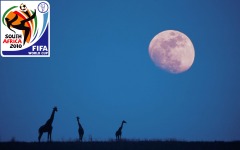 Desktop wallpaper. FIFA World Cup 2010. ID:19709