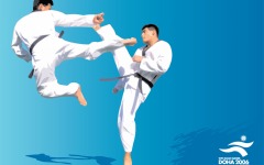 Desktop wallpaper. Asian Games 2006. ID:19912