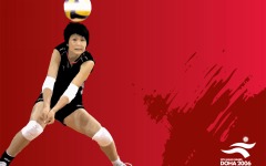 Desktop wallpaper. Asian Games 2006. ID:19934