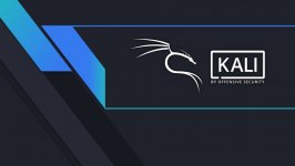 Desktop wallpaper. Kali Linux