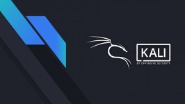 Desktop wallpaper. Kali Linux