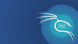 Desktop wallpaper. Kali Linux