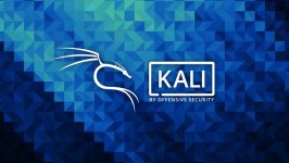 Desktop wallpaper. Kali Linux