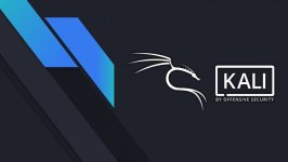 Desktop wallpaper. Kali Linux